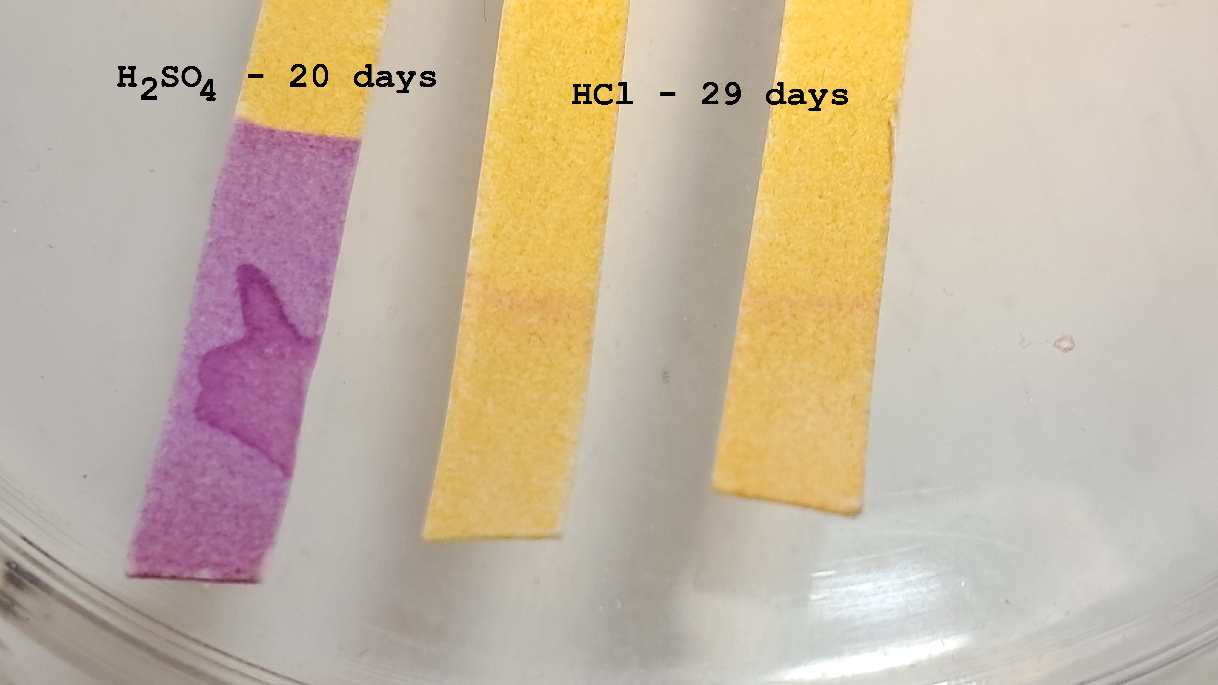 Universal Indicator Paper: Color Change Over Time